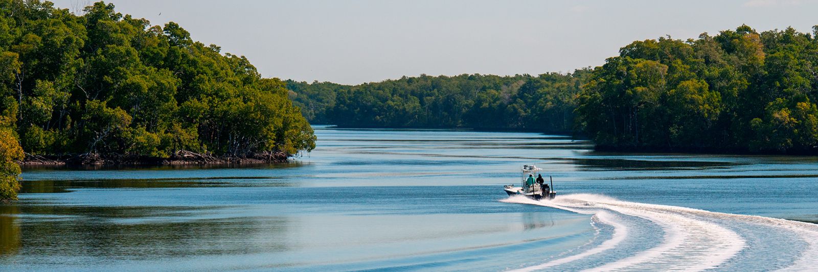 Power Boat Banner