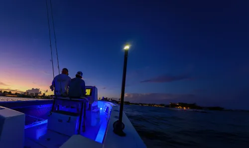 Scanstrut Wins IBEX 2026 Innovation Award for Wireless Powered Navlight