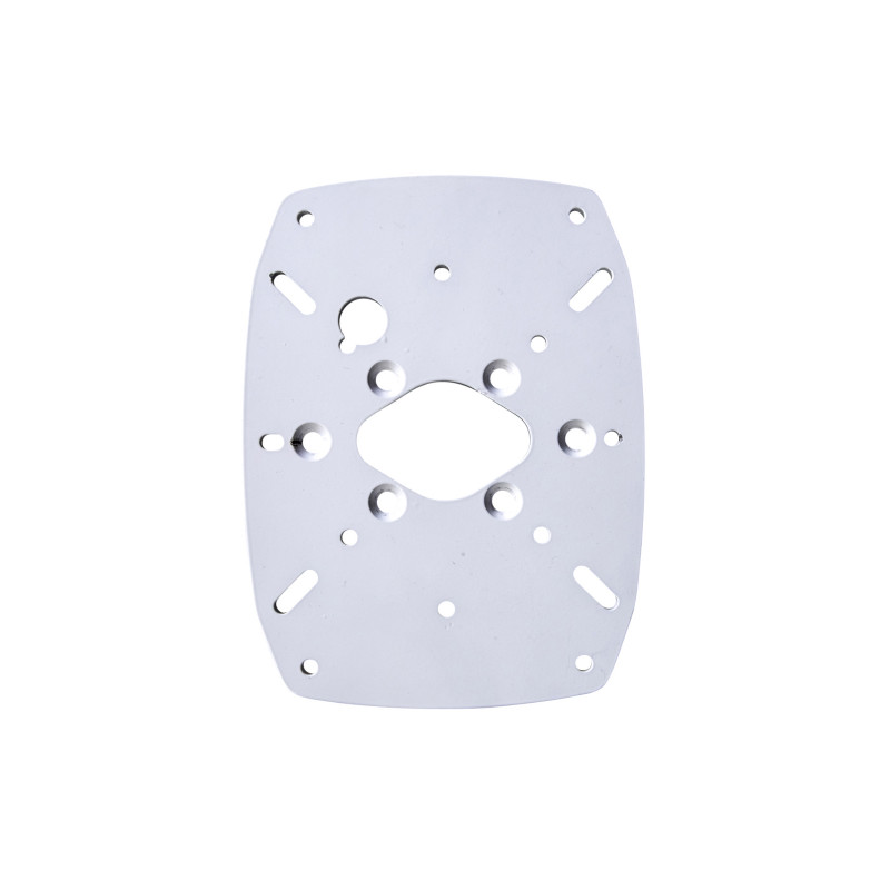 DPT-S-PLATE-01